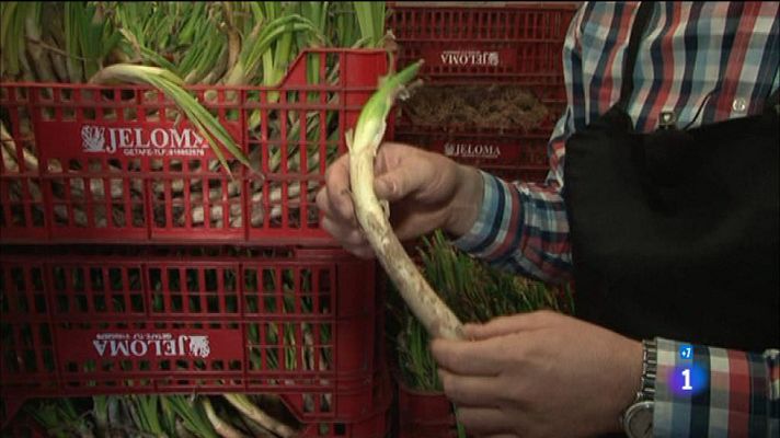 Comando Actualidad - Catalunya