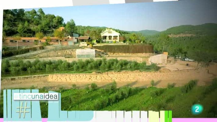 Tinc una idea - Tinc una idea - 25/01/2015