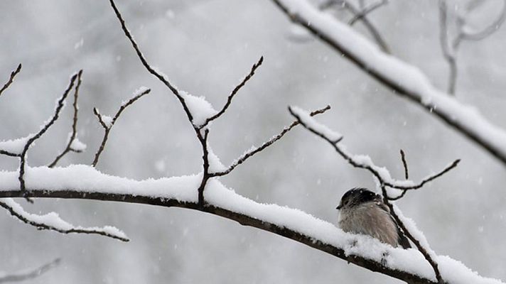 Informativo de Madrid - El tiempo en la Comunidad de Madrid - 22/01/15