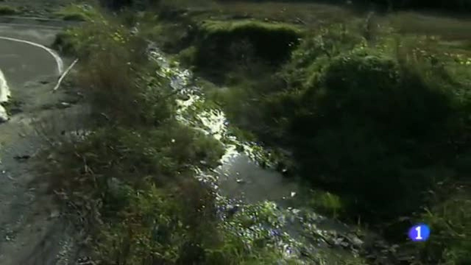 Informatiu Balear 2 - 23/01/15 | Ver