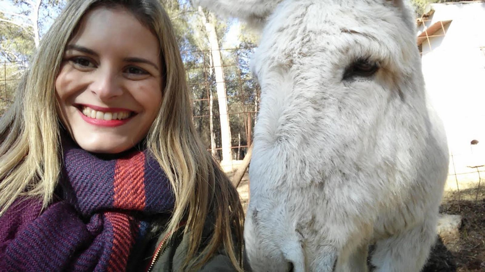 La militancia borriquera