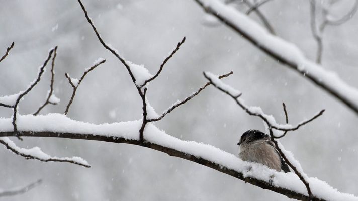 El tiempo - Posibilidad de nieblas en la Meseta norte