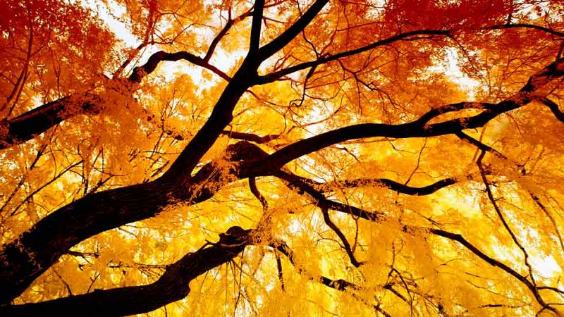 Intervalos nubosos en zonas de la mitad norte y del litoral de Levante