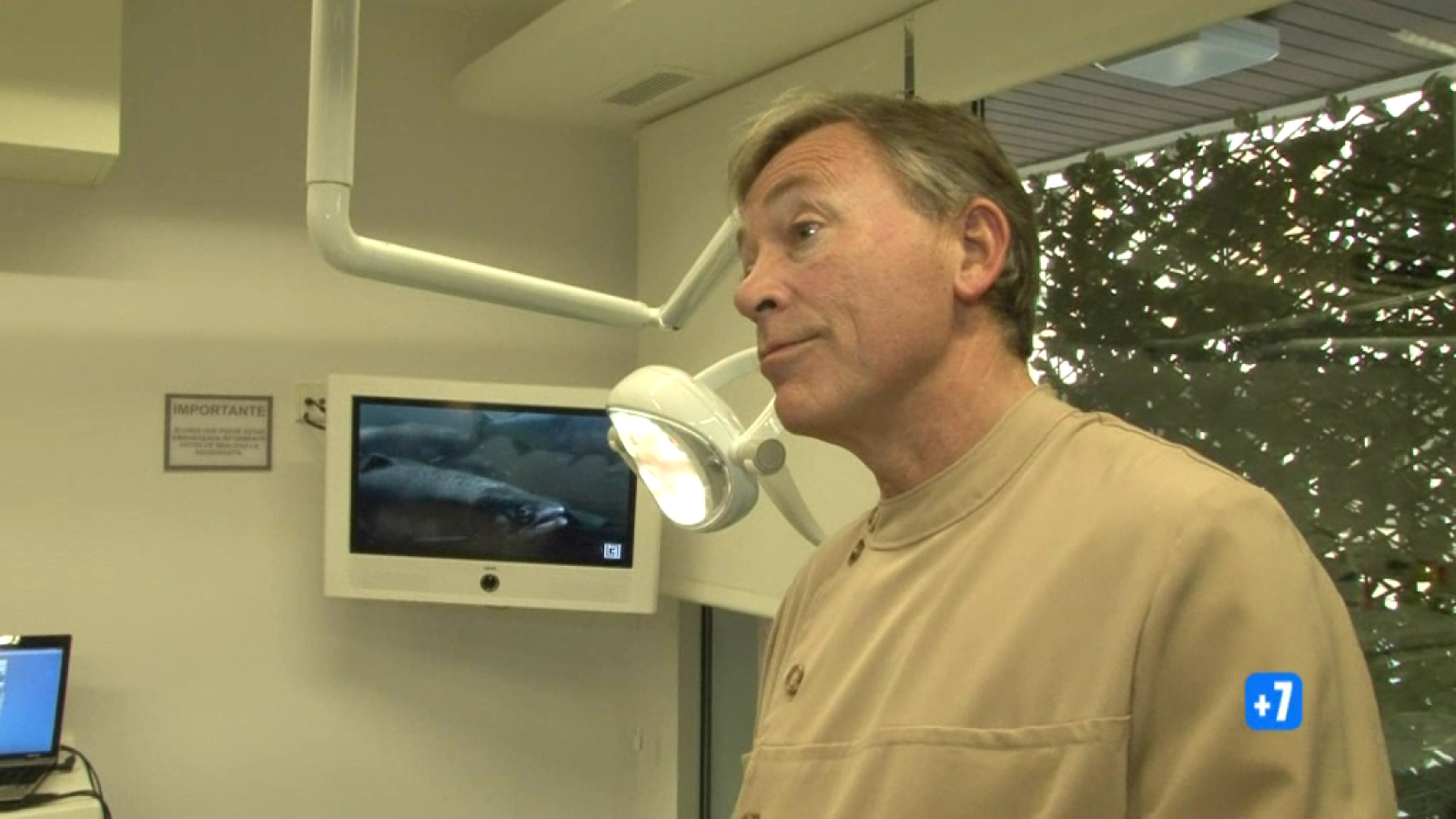 Comando Actualidad - Intrusos - Avance