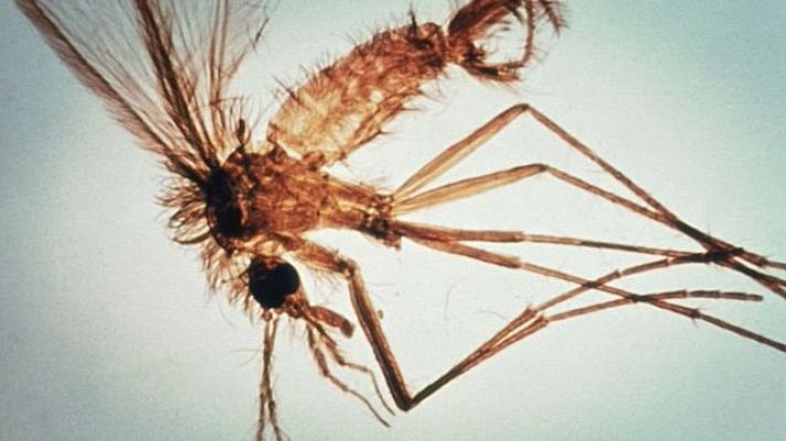 Universo UNED - Madri+d 192