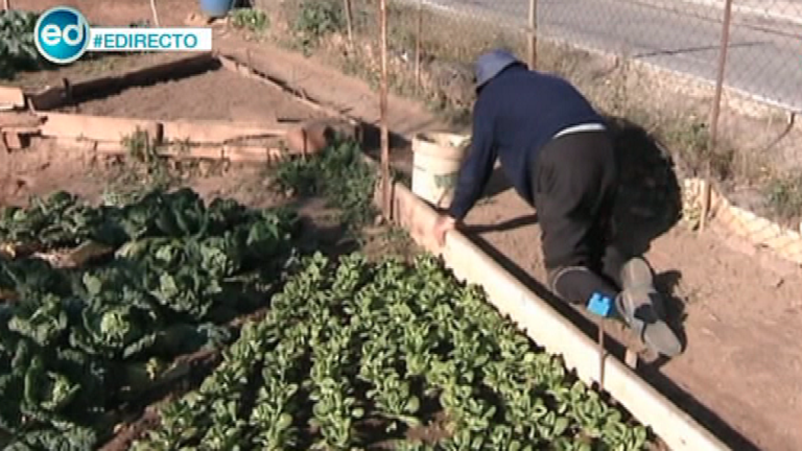 España Directo- Una huerta sin barreras