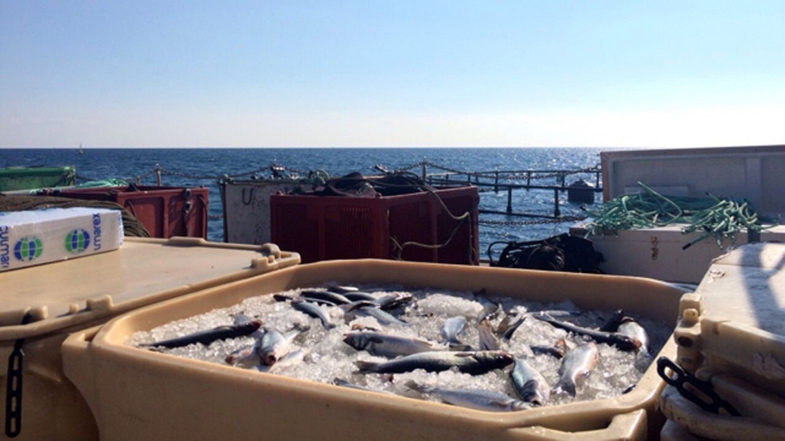 Piscifactoría marina de calidad