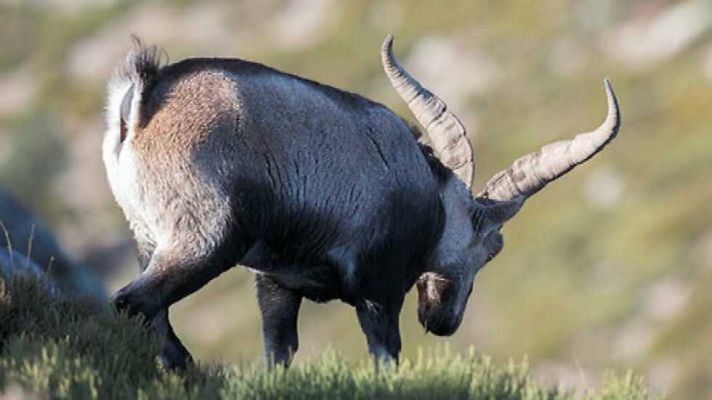 Aquí la Tierra - Aquí la Tierra - 26/01/15