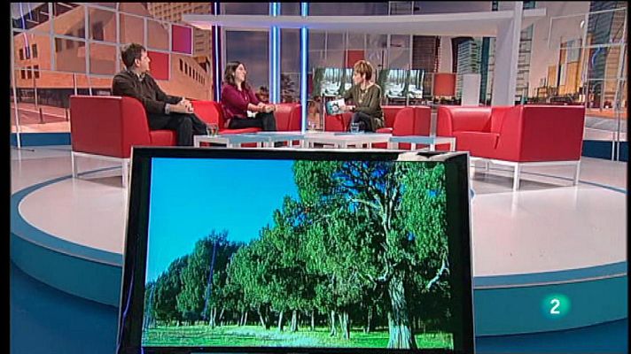 Para todos La 2 - Eduardo Actis y María Bellet, Arbolapp