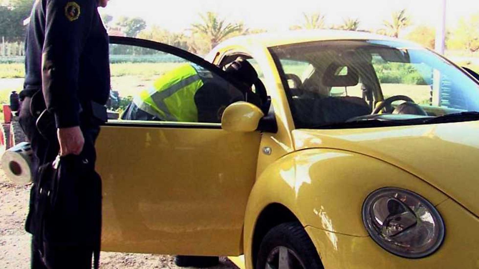 Comando Actualidad - ¿Intrusos? - ver ahora