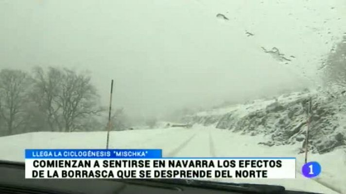 Telenavarra - Telenavarra - 30/01/2015