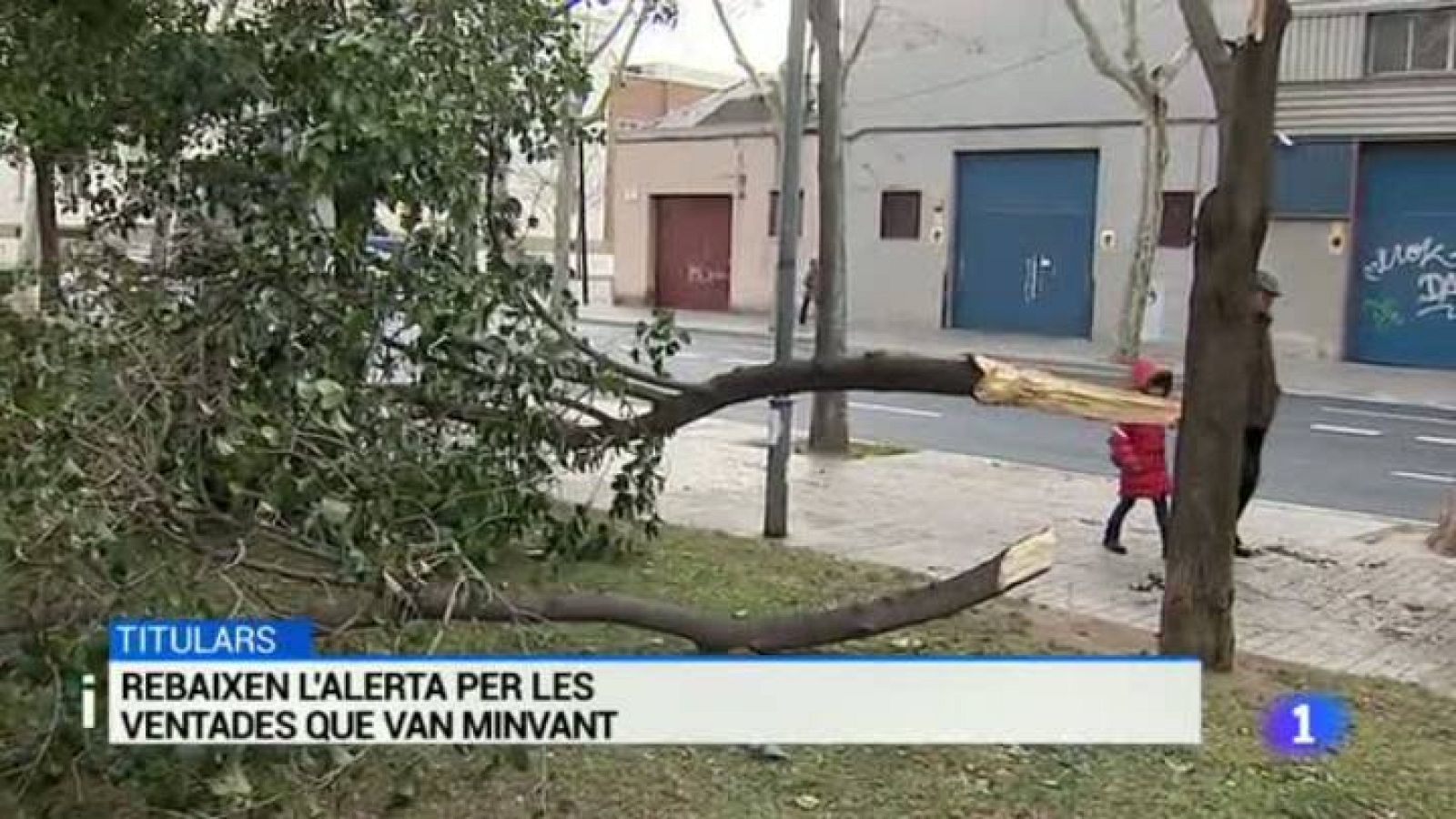 L'Informatiu 2 - 30/01/2015