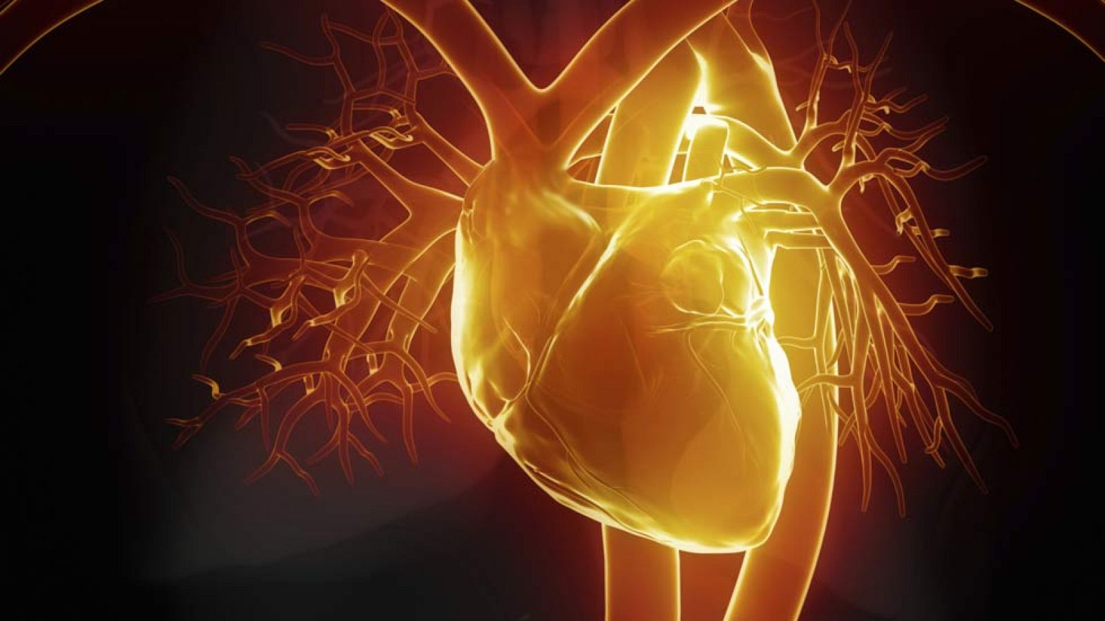 Una terapia pionera española usa células madre cardiacas de donantes para tratar infartos