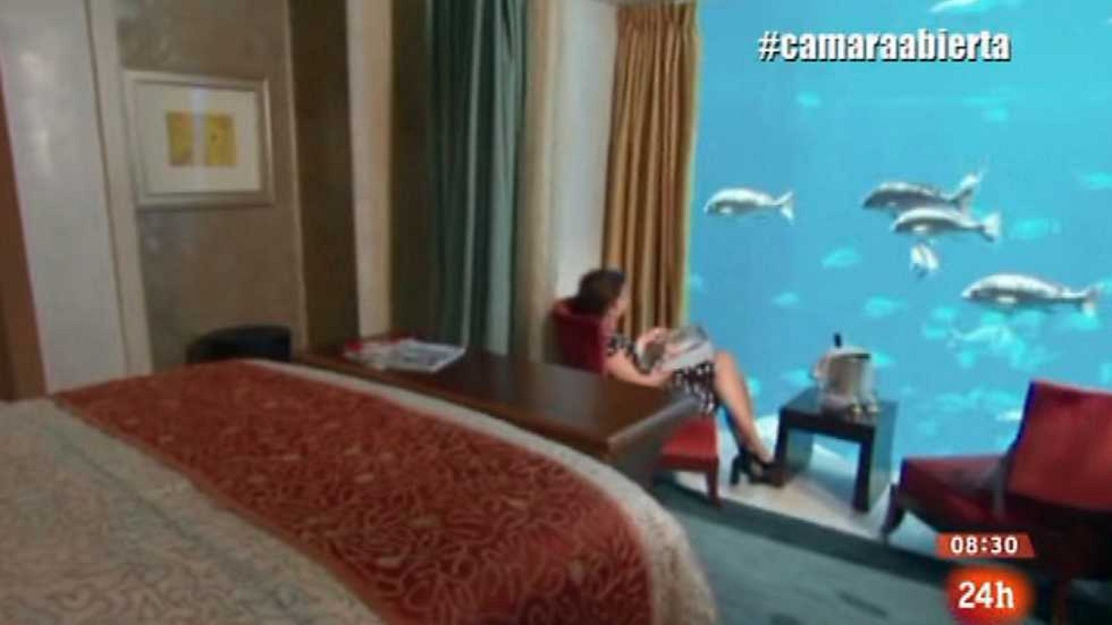 Cámara abierta 2.0 - FITUR, El último abrazo y Gorka Otxoa - Ver ahora