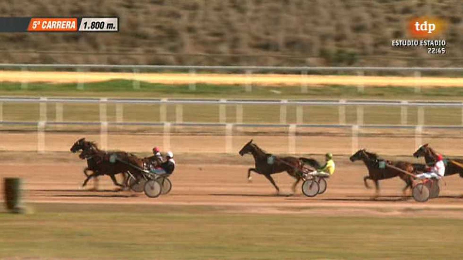 Turf - 01/02/15 - Ver ahora