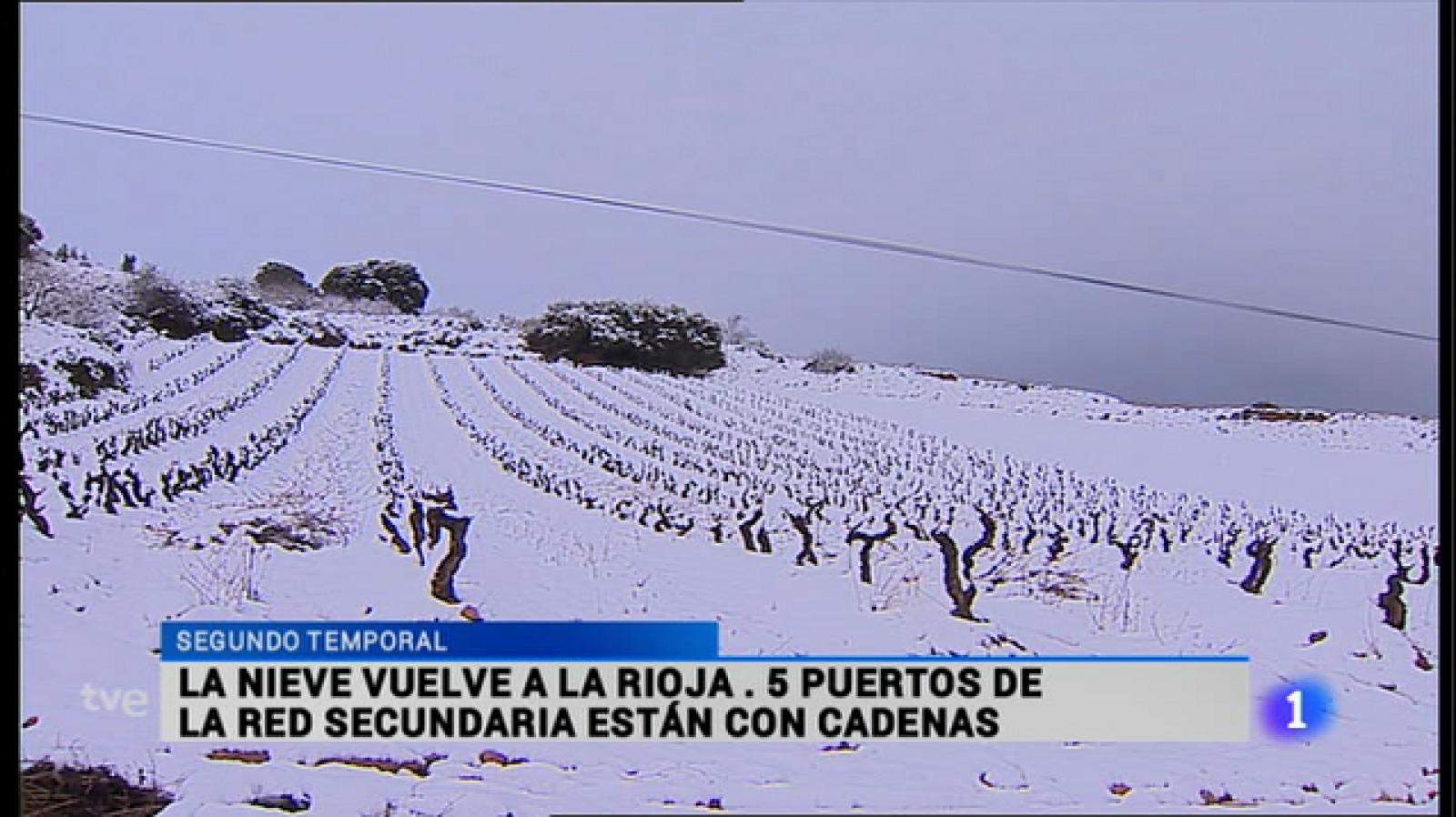 Telerioja en 2' - 02/02/15 | Ver