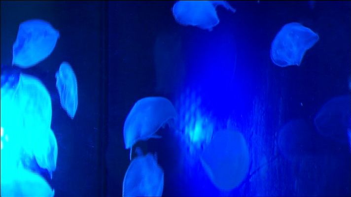 Lab24 - Un mar de ciencia