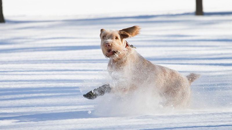 El Tiempo en la Comunidad de Madrid - 03/02/15
