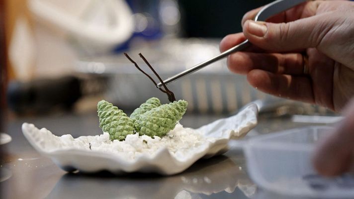 Informativo de Madrid - Informativo de Madrid 2 - 03/02/15