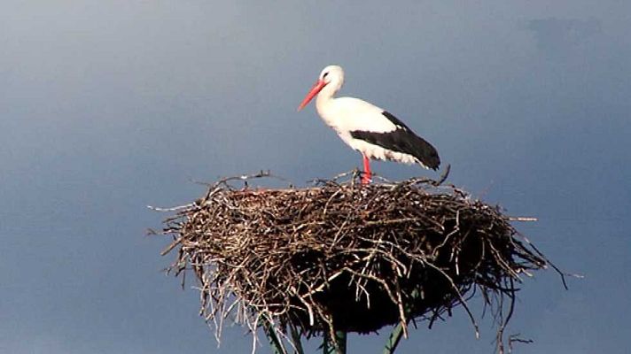 Aquí la Tierra - Aquí la Tierra - 03/02/15