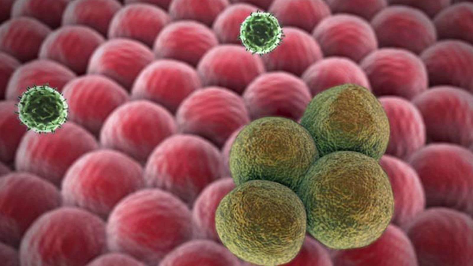 Una de cada dos personas que nacen hoy en España tendrá cáncer a lo largo de su vida