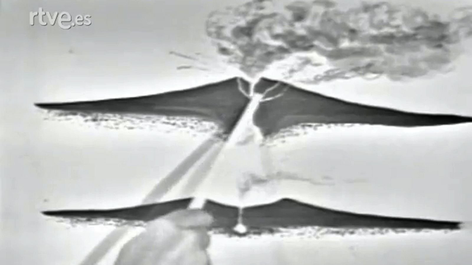 Fauna - El cráter del Ngorongoro