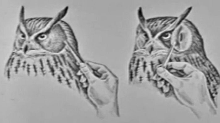 El planeta azul - Los búhos (II)