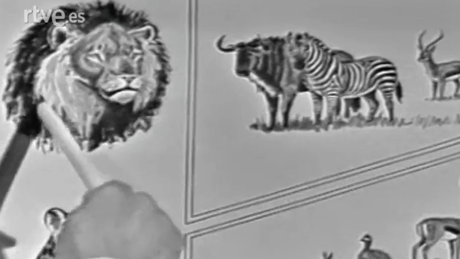 Fauna - El león (III)