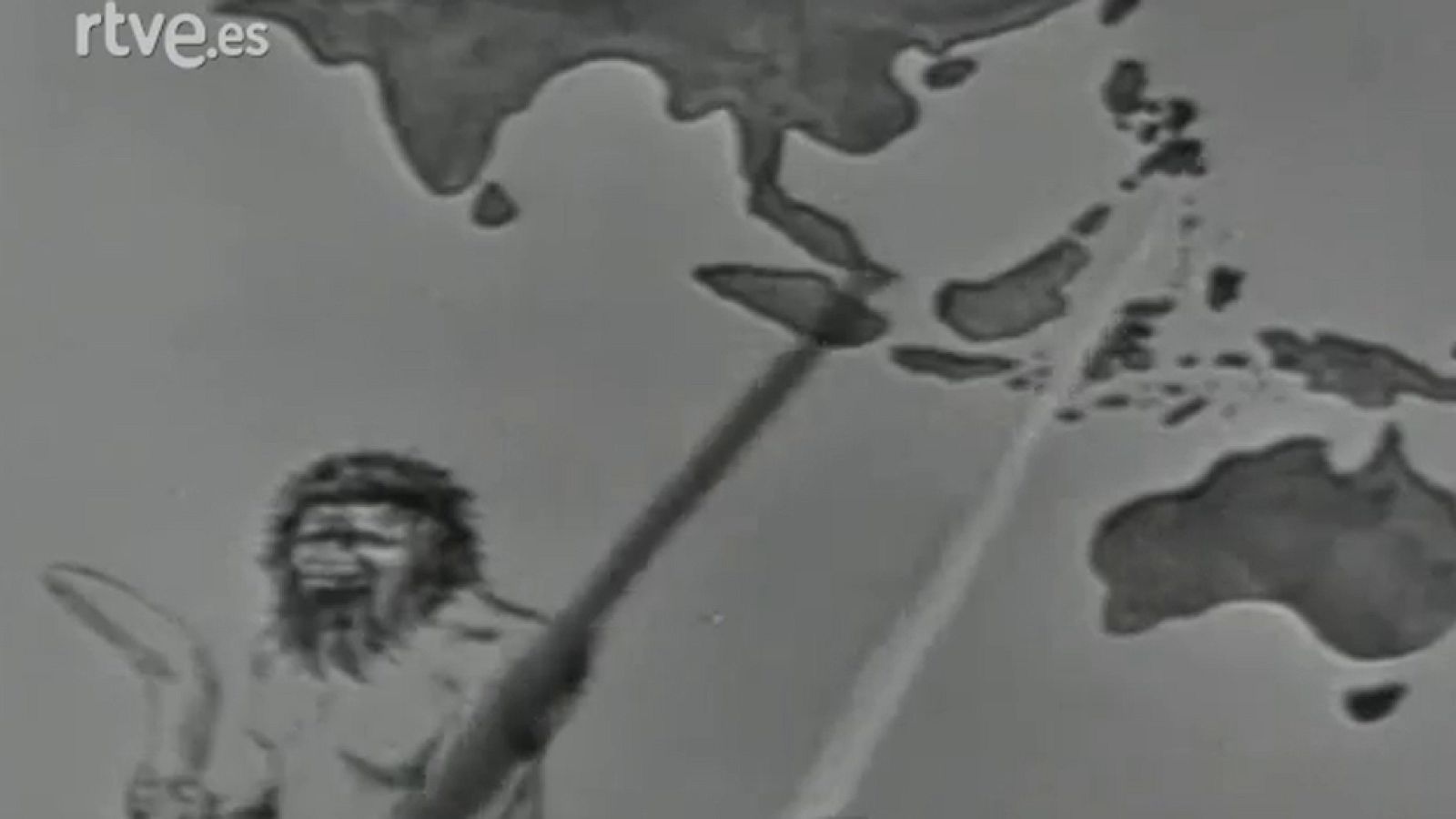 Fauna - Los bindibus