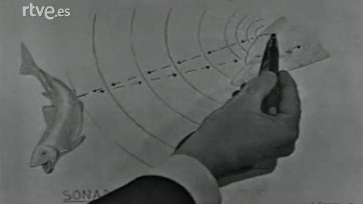 El planeta azul - Los delfines