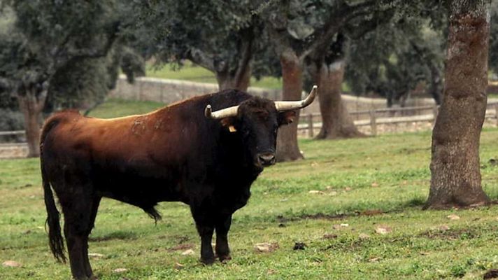 Tendido cero - Tendido Cero - 07/02/14