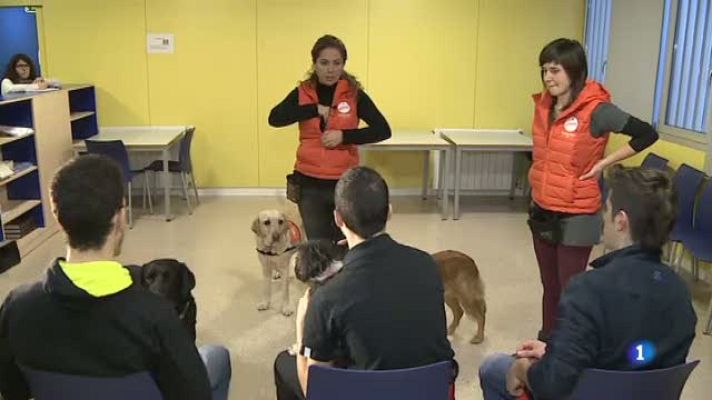 L'Informatiu - Teràpia amb gossos als centres de menors tutelats