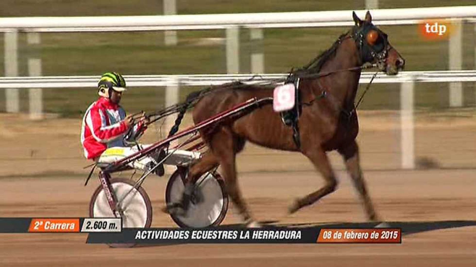 Turf - 08/02/15 - ver ahora