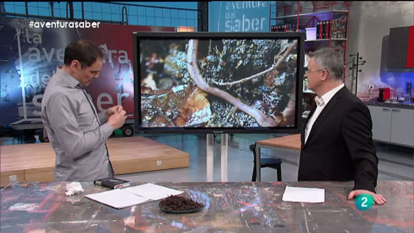 La Aventtura del Saber. Divulgación medioambiental. José Manuel Crespo. Lombrices