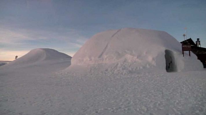 Aquí la Tierra - El cerdito que se salvó