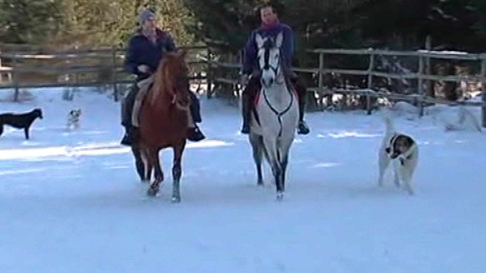 España Directo- El hombre de las nieves, a la conquista de la Sierra de Gredos