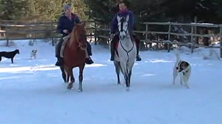 España Directo - El hombre de las nieves, a la conquista de Gredos