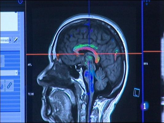Panorama Regional - Panorama Regional 2 - 10/02/15