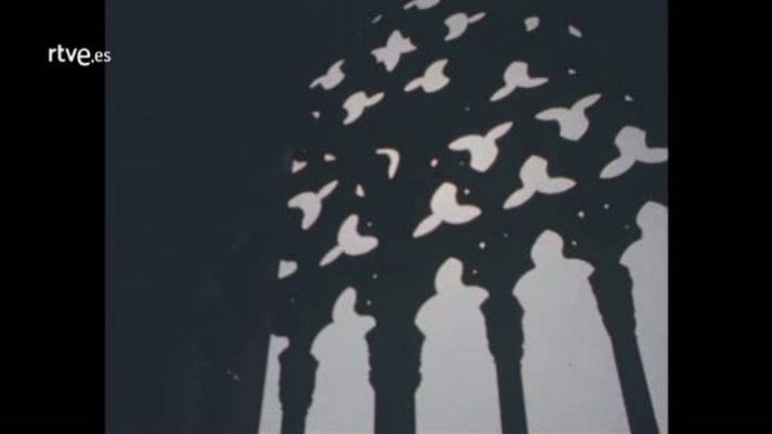 Les nostres coses - La Seu de Lleida