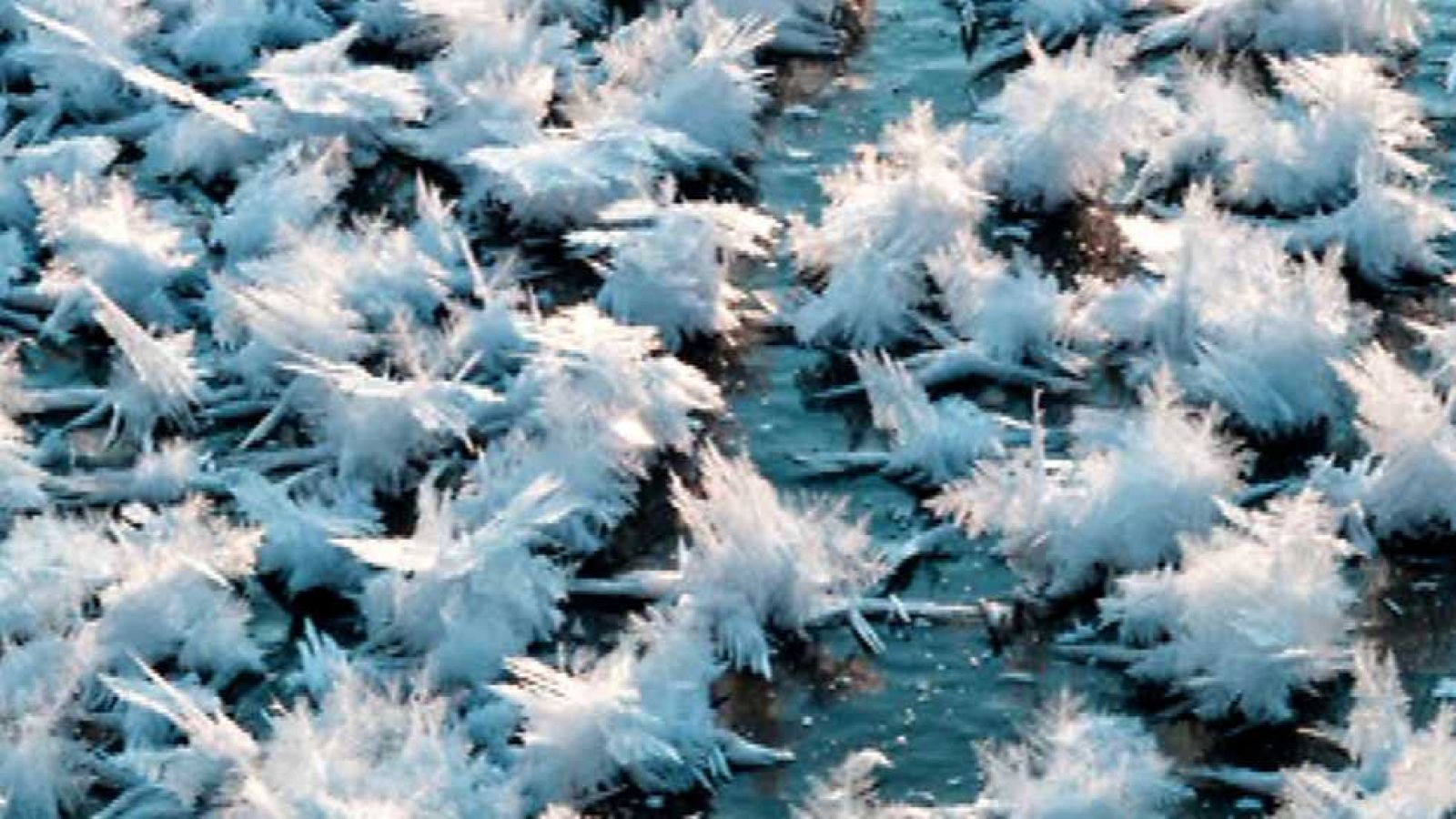 Aquí la Tierra - 10/02/15 - Ver ahora