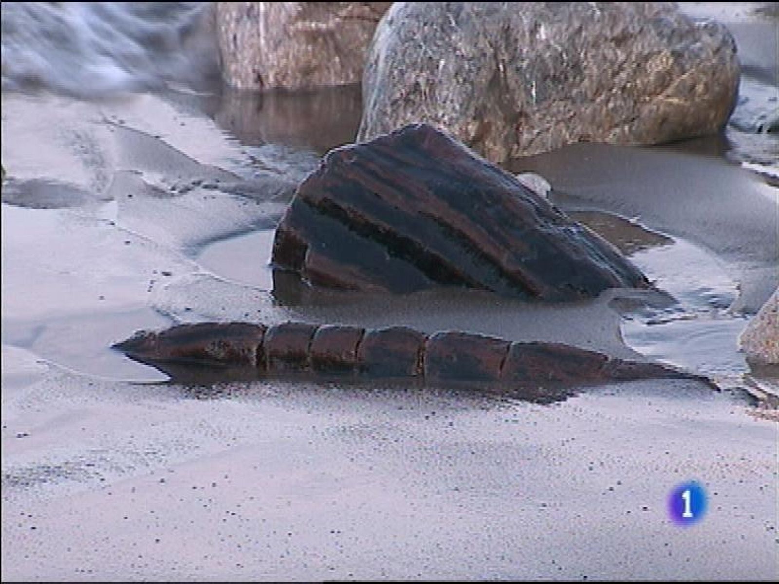 Panorama Regional 2 - 12/02/15 | Ver