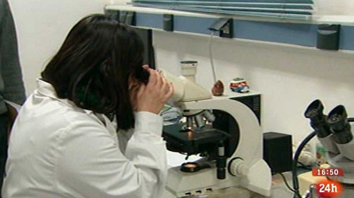 España en 24h - España en 24 horas - 12/02/15