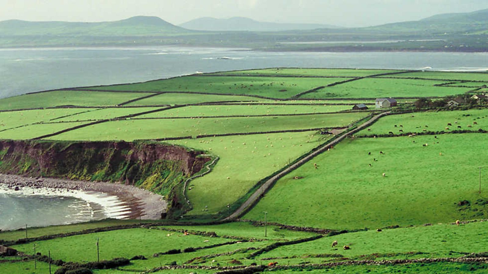 Grandes documentales - Las costas de Irlanda: La Riviera irlandesa -  Ver ahora