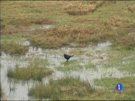 Panorama Regional - El tiempo en Asturias - 16/0215