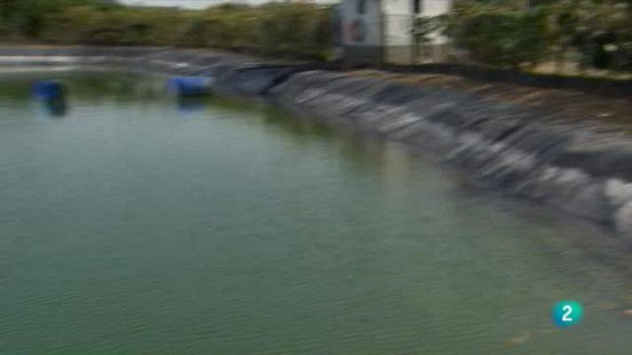 Agrosfera - Regadío