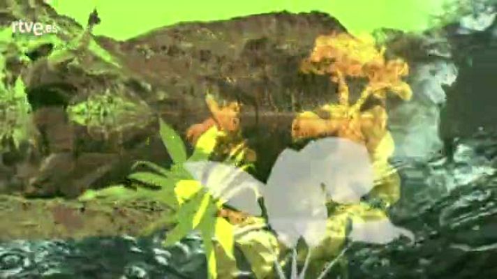 Jara y sedal - Cómo embragar un reclamo