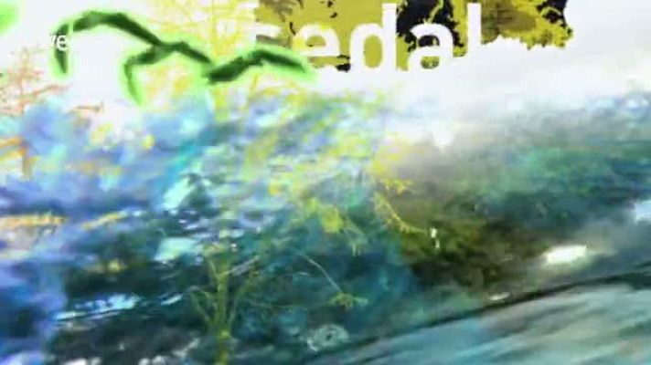 Jara y sedal - Moscas para Múgil