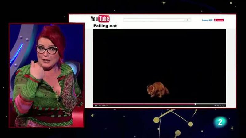 Órbita Laika -  Los gatos siempre caen de pie