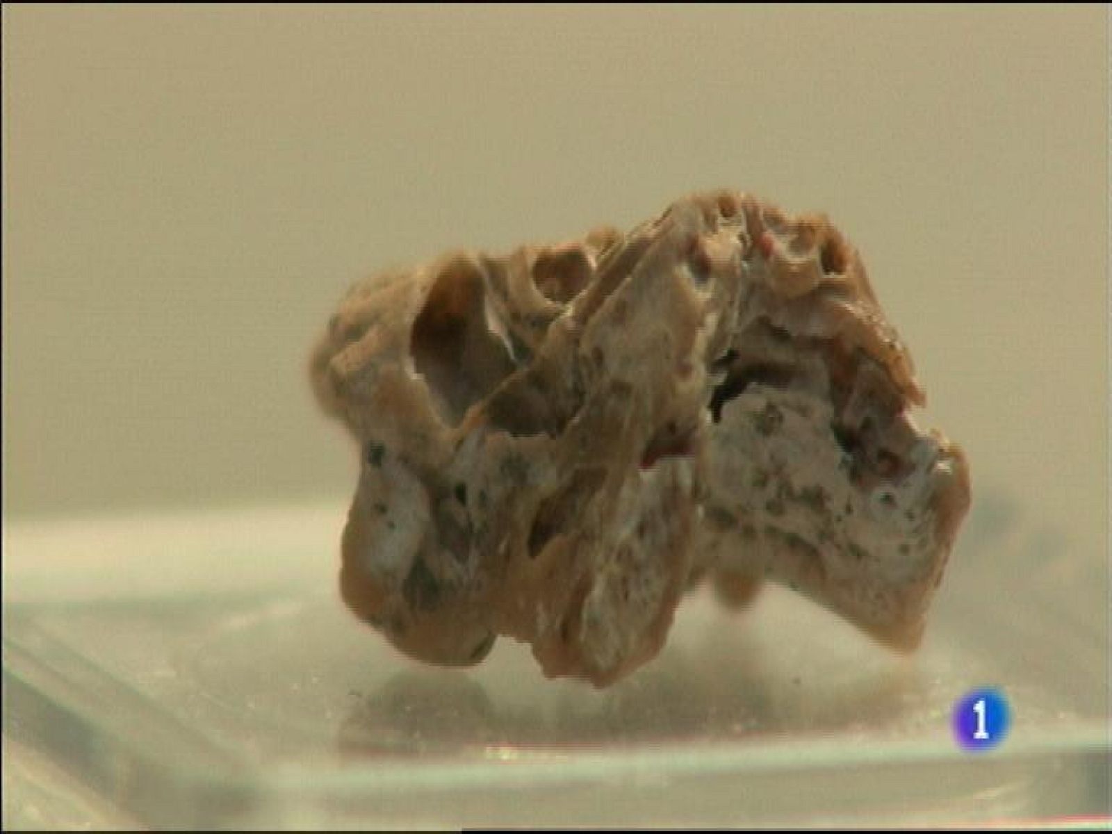 Panorama Regional 2 - 17/02/15 | Ver