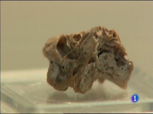 Panorama Regional - Panorama Regional 2 - 17/02/15